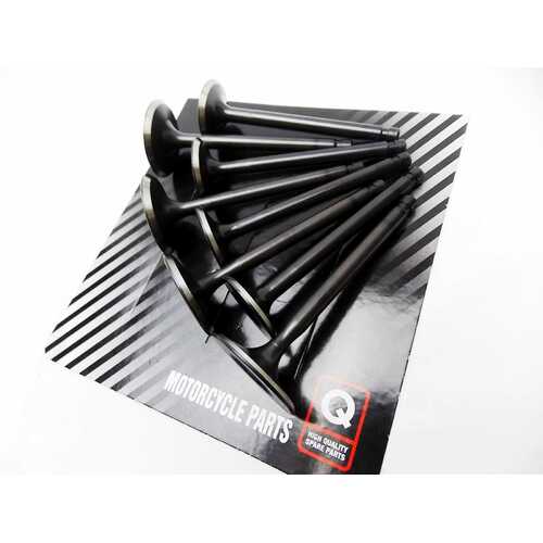 KAWASAKI KZ900 LTD 1976 FORSETI INLET INTAKE AND EXHAUST VALVE SET